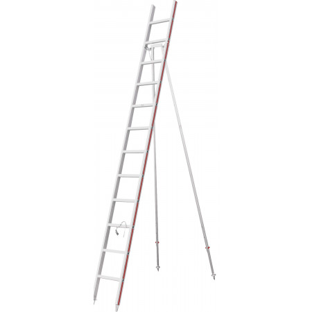 Scala agricola a 12 pioli
